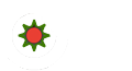 Exner Bohnert Floristik